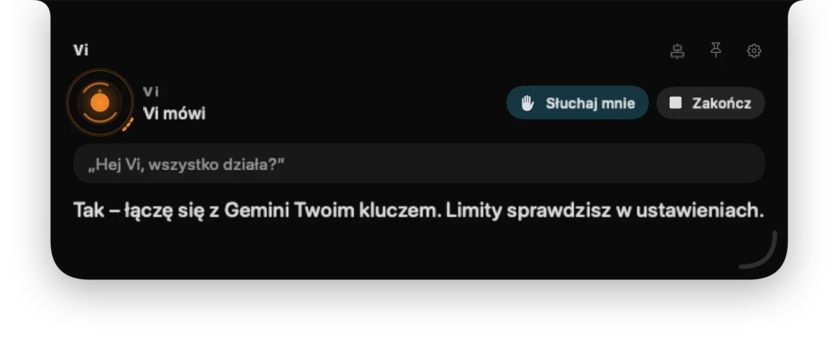 Panel Vi: połączenie z własnym kluczem Gemini
