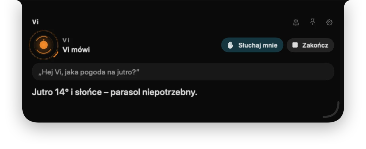Panel Vi: pytanie o pogodę
