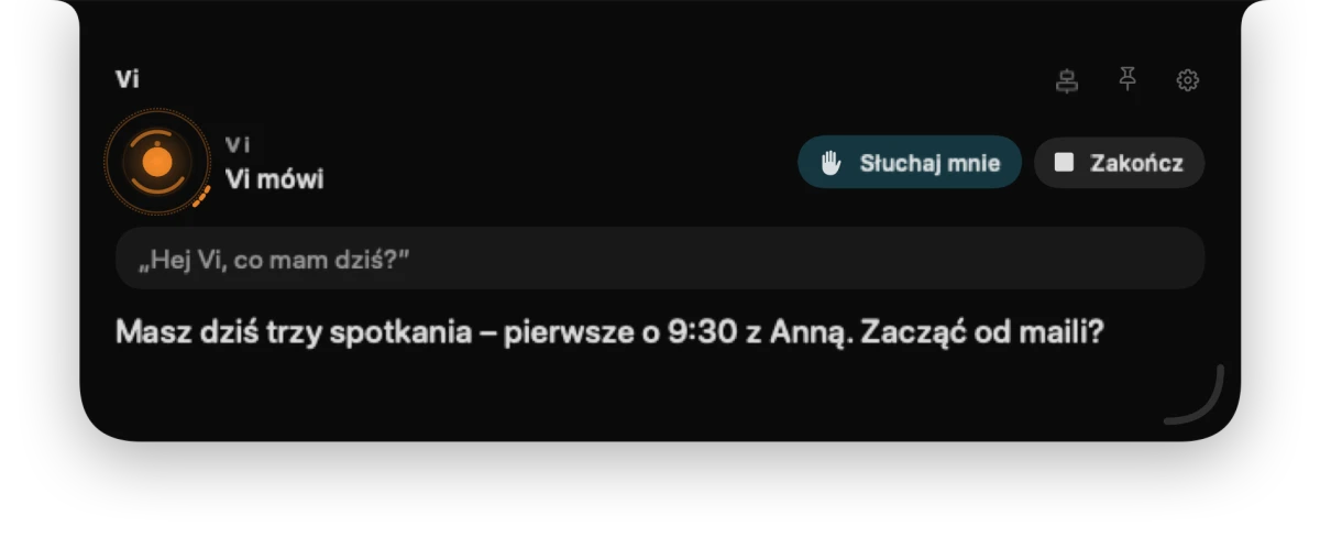 Panel Vi: pytanie o plan dnia